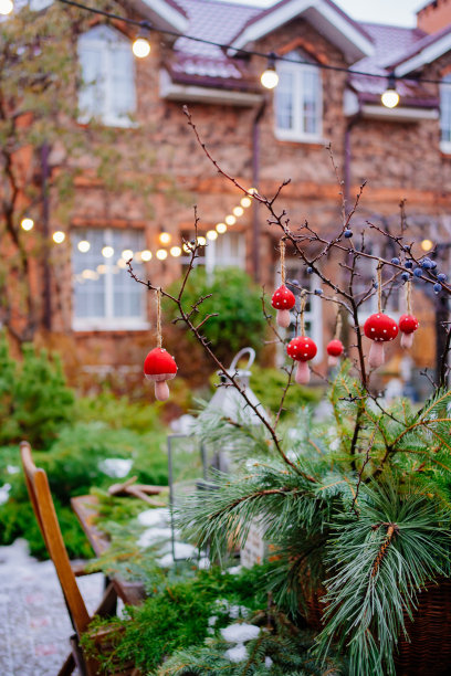 房子的院子用针叶树枝装饰新年图片下载