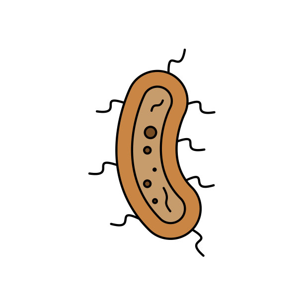 细菌病毒线图标。细菌病毒插图图标元素。标志符号可以用于网页logo移动应用程序UI UX图片下载