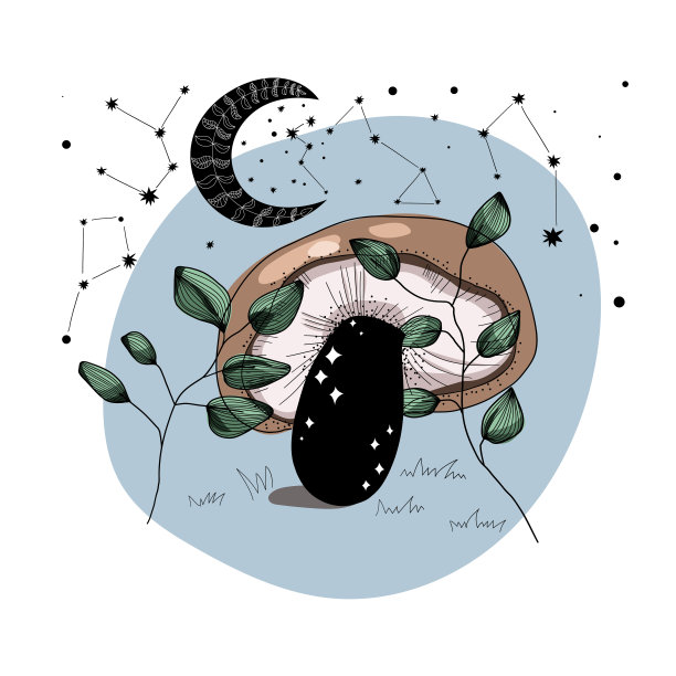 森林蘑菇。神秘的蘑菇。花卉。矢量插图。图片下载