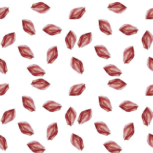 水彩无缝模式与种子坑从李子或杏孤立在白色背景。创意艺术的菜单，卡片，包装，墙纸，商店，卡片，素描本图片下载