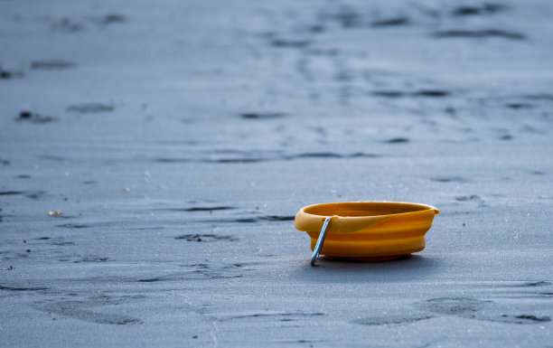 狗水碗坐在海滩上图片下载