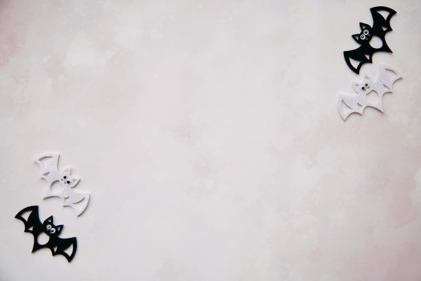 万圣节黑白蝙蝠装饰的极简概念。前视图。极简主义节日的概念。复制文本空间。万圣节快乐，不给糖就捣蛋的概念图片下载