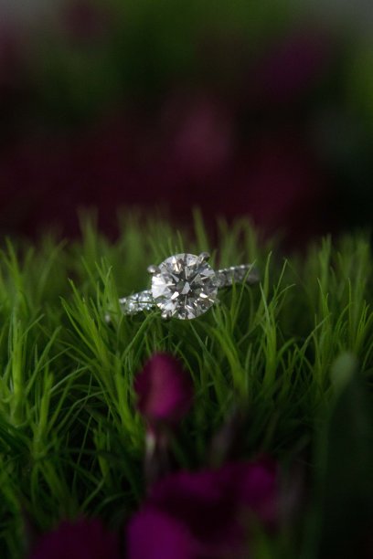 环形特写照片图片下载