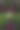 环形特写照片图片下载
