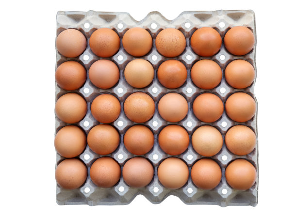 生鸡蛋有机食品在纸箱包装或鸡蛋容器上的白色背景。剪切路径。图片下载
