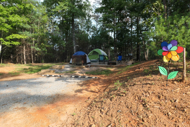 詹姆斯湖的营地图片下载
