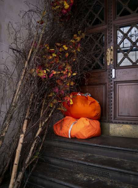 门阶上的袋子和树枝图片下载