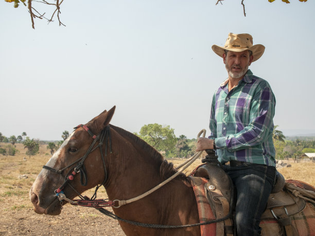 牛仔骑着他的马在一个非常干燥的牧场上图片下载
