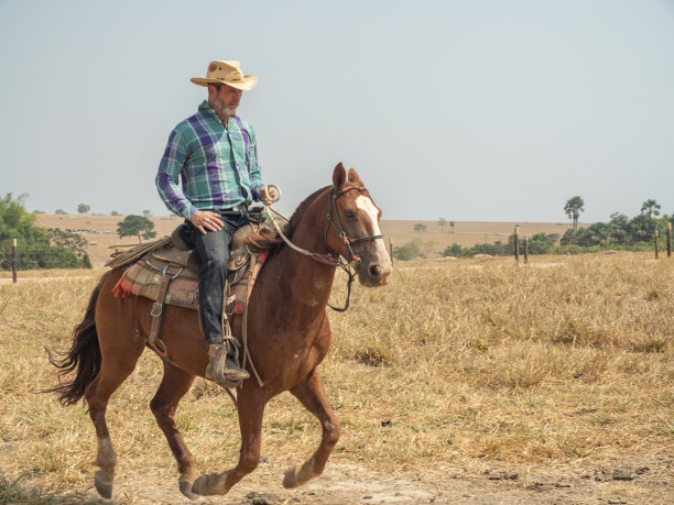 牛仔骑着他的马在一个非常干燥的牧场上图片下载