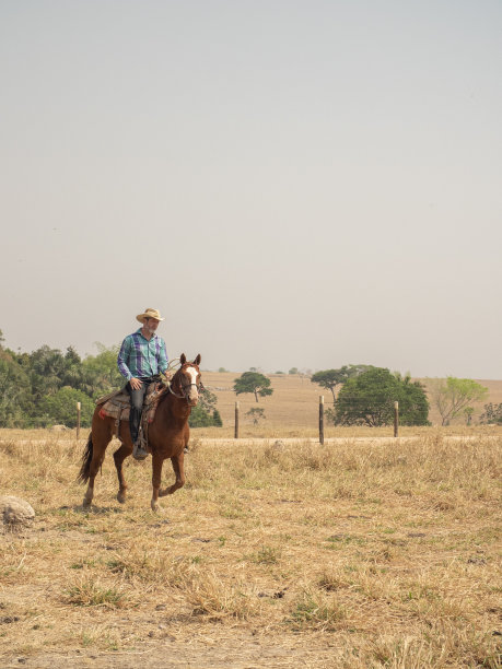 牛仔骑着他的马在一个非常干燥的牧场上图片下载