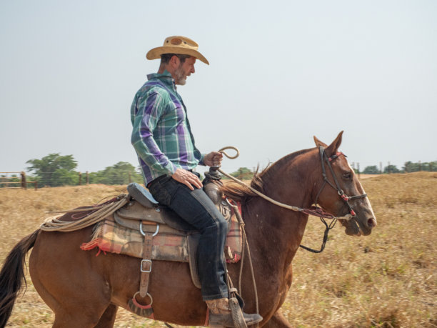 牛仔骑着他的马在一个非常干燥的牧场上图片下载
