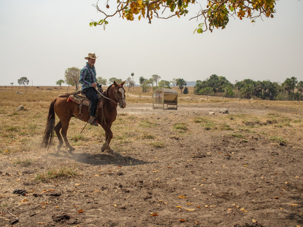 牛仔骑着他的马在一个非常干燥的牧场上图片下载