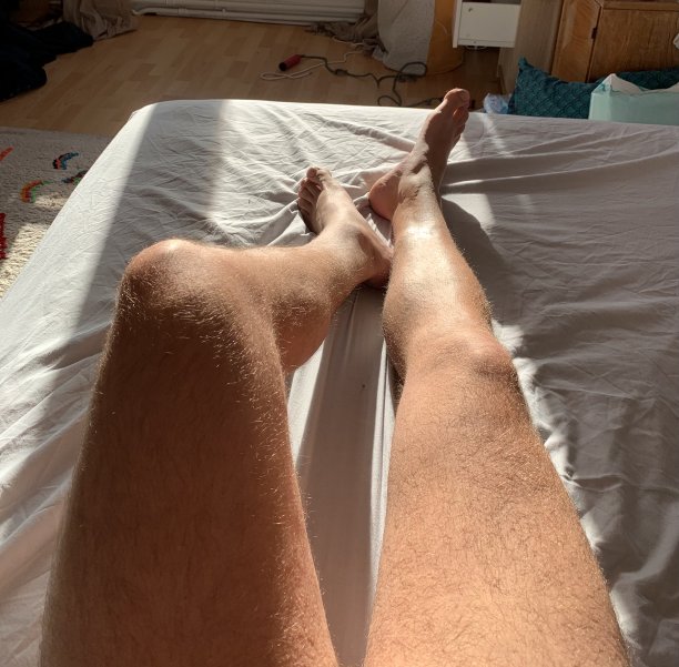 在一个阳光明媚的早晨醒来。图片下载