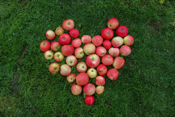 红苹果的心。图片下载