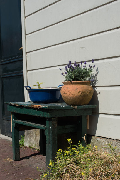 锅用鲜花图片下载