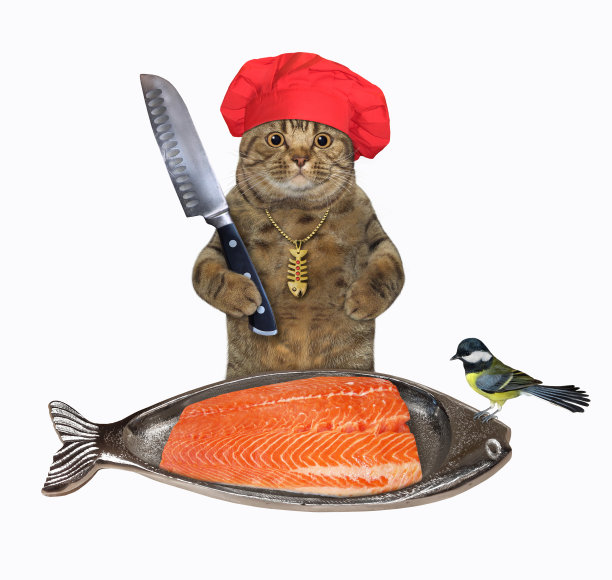 猫在鱼形盘子上切鲑鱼图片下载