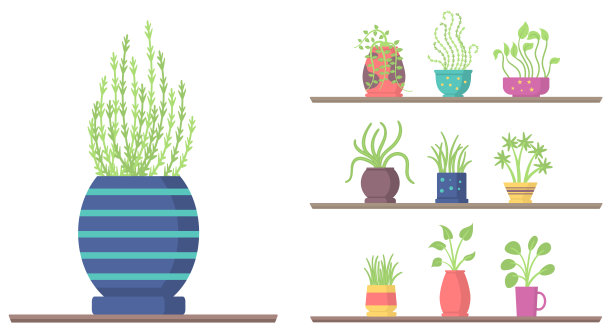 一套室内植物在架子上，花园花盆。图片下载