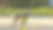 秋天在城市公园里的俄罗斯玩具梗。一只穿着衣服的俄罗斯小猎犬站在公园里。图片下载