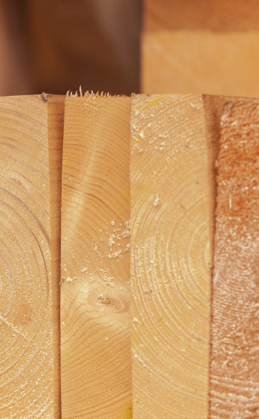 近距离拍摄的木材，堆叠。专注于谷物和锯末图片下载