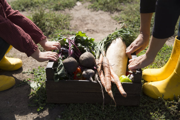 妈妈和女儿带着一盒新鲜的菜园蔬菜在家里的花园里。有机概念，收获时节秋天。健康的家庭生活方式。图片下载