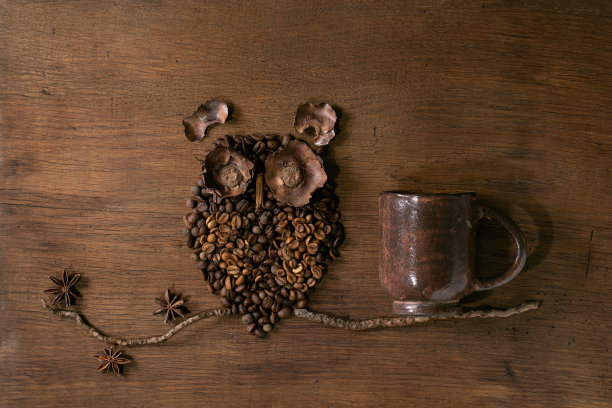 由咖啡豆和香料制成的猫头鹰形状图片下载