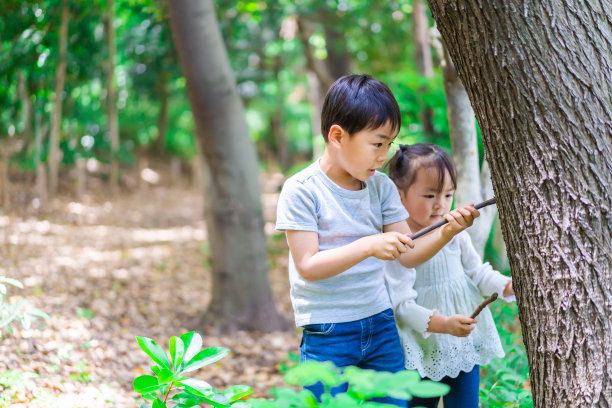 孩子们在森林里玩耍图片下载