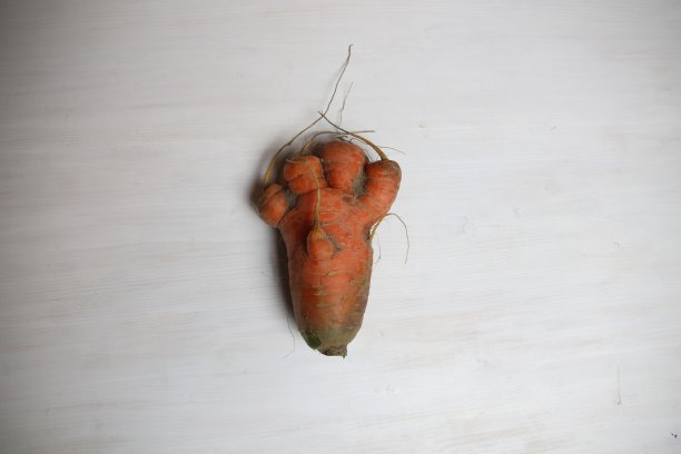 不寻常的胡萝卜，看起来像手和脚，白色背景上丑陋的食物图片下载