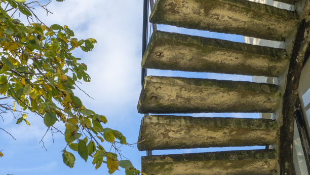 古老的混凝土台阶和秋天的树枝映衬着蓝天。向上的概念。图片下载
