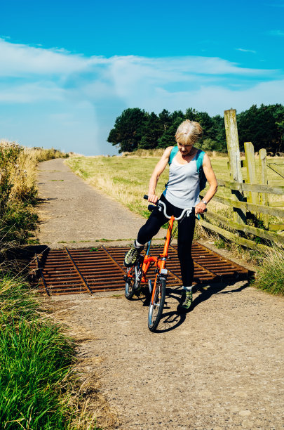 牛网格轰鸣图片下载