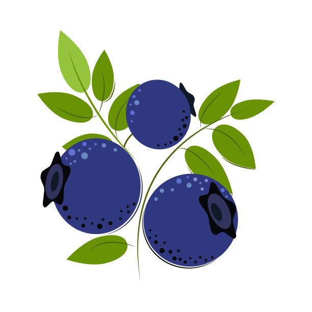 蓝莓。成熟多汁的绿叶浆果。浆果做果酱和甜点。平的风格。矢量插图。图片下载