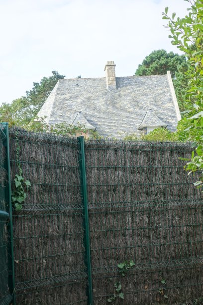 双网栅栏和石南花干植物围墙花园房子与多彩的瓦屋顶图片下载
