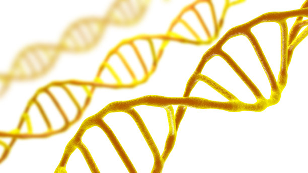 现场观察的分子DNA在一个黑色孤立的背景下。图片下载