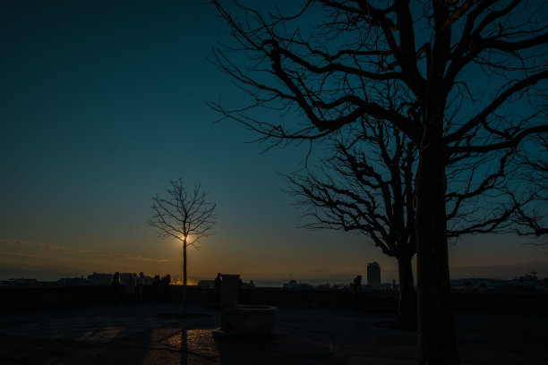 在一个阳光灿烂、色彩缤纷的冬夜，洛桑大教堂瞭望台前的一棵树的剪影后，夕阳西下。图片下载