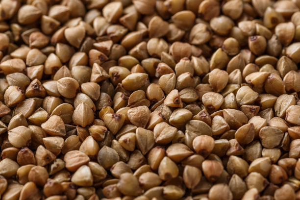 荞麦。饮食和健康饮食的概念，荞麦质地的背景。微距摄影荞麦纹理。无麸质古谷物健康饮食，俯视图。图片下载