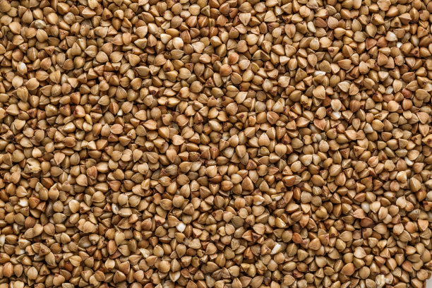 荞麦。饮食和健康饮食的概念，荞麦质地的背景。微距摄影荞麦纹理。无麸质古谷物健康饮食，俯视图。图片下载