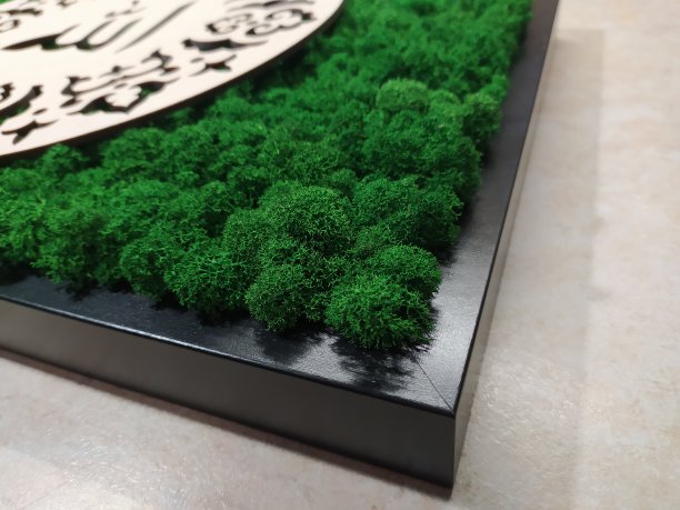 这幅画由装饰性的稳定苔藓制成，在一个带有图案的黑色框架中图片下载