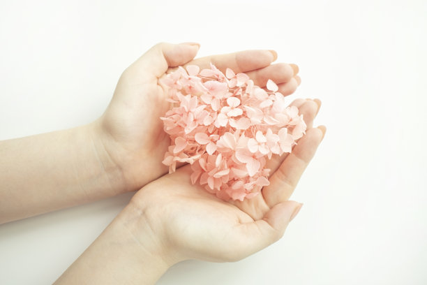 握着花束的女人的美丽的手图片下载