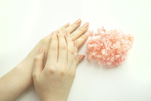 握着花束的女人的美丽的手图片下载