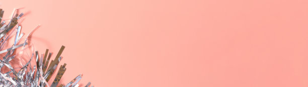 空白的一张新年晚会的邀请图片下载