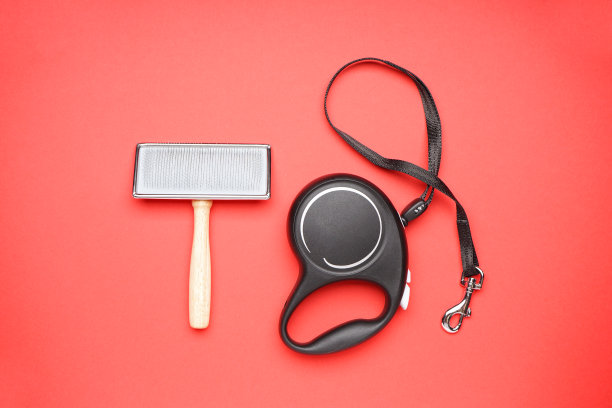 梳妆刷和狗链在红色背景上。平的。图片下载