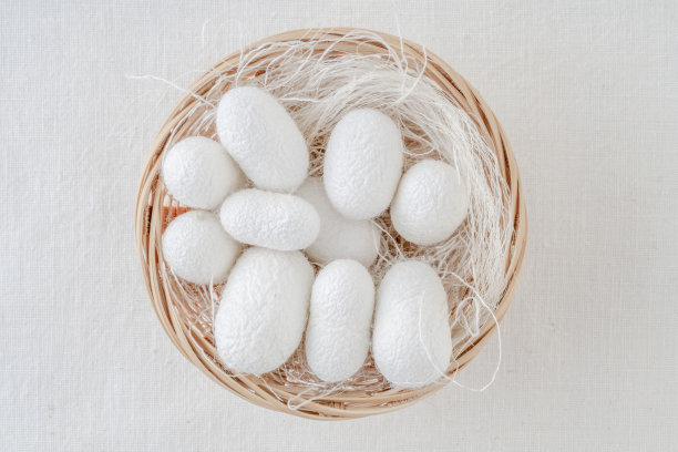 18、白蚕茧壳，源丝织篮内图片下载