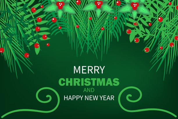 圣诞背景与冷杉枝图片下载