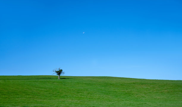 春天的风景，草地，一棵树和半月形的天空，孤独的树在空的草地上的山上图片下载