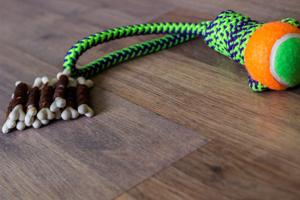 狗狗玩具及食物图片下载