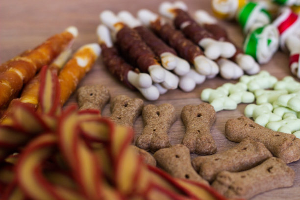 狗狗玩具及食物图片下载