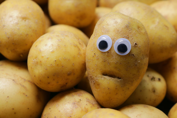 全帧图像的小土豆在一堆，有瑕疵的疤痕的嘴和大眼睛添加到一个土豆给蔬菜一个担心的表情，幽默的概念图片下载