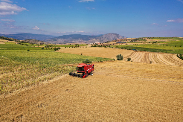 联合收割机和拖拉机在大麦田收获图片下载