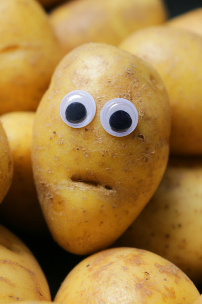 全帧图像的小土豆在一堆，有瑕疵的疤痕的嘴和大眼睛添加到一个土豆给蔬菜一个担心的表情，幽默的概念图片下载