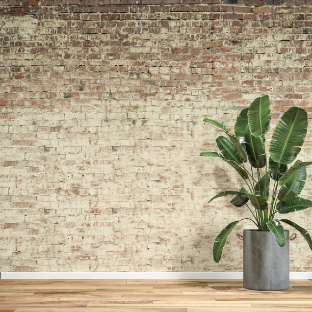 空无家具的内部与废弃的砖墙背景和盆栽植物图片下载