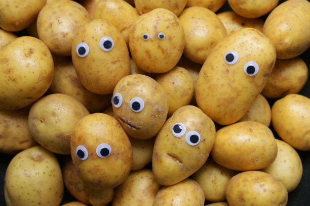 全帧图像婴儿新土豆在一堆，有斑点的疤痕的嘴和瞪大的眼睛给蔬菜添加了一种担心的表情，幽默的概念图片下载